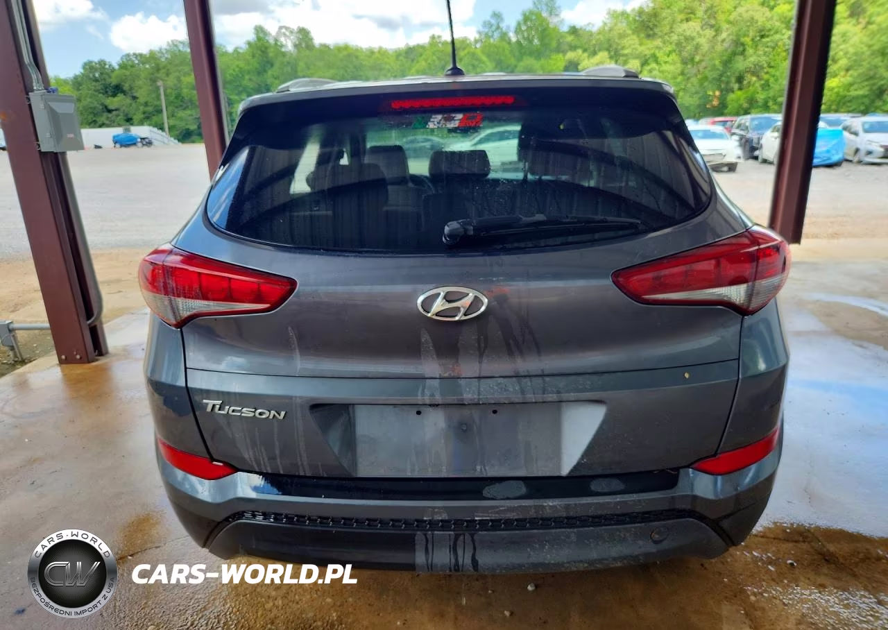 2016 Hyundai Tucson Se VIN:KM8J33A42GU076252 - 6