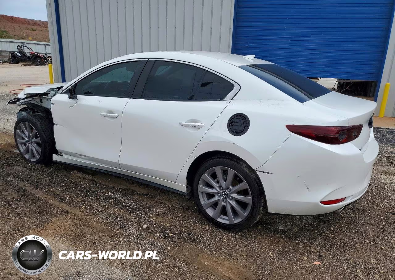 2019 Mazda 3 Preferred VIN:3MZBPADL0KM107514 - 2
