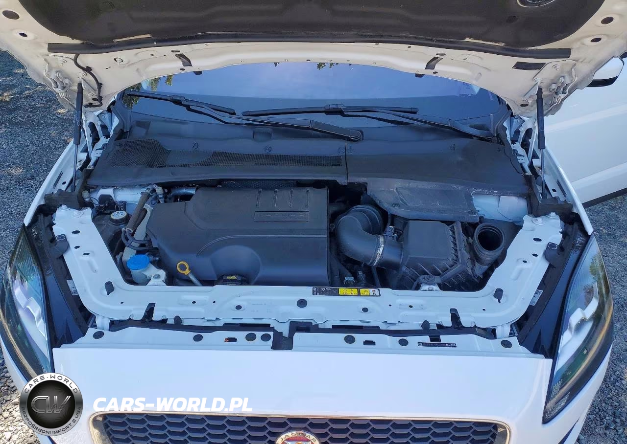 2019 Jaguar E-Pace S VIN:SADFJ2FX3K1Z46893 - 12