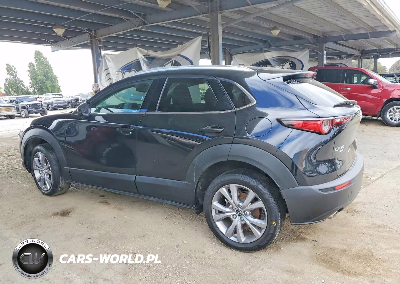 2022 Mazda Cx-30 Premium VIN:3MVDMBDL7NM443738 - 2