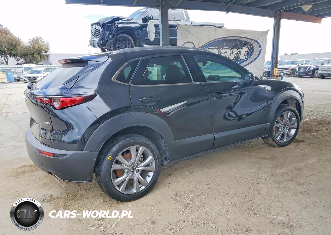 2022 Mazda Cx-30 Premium VIN:3MVDMBDL7NM443738 - 3