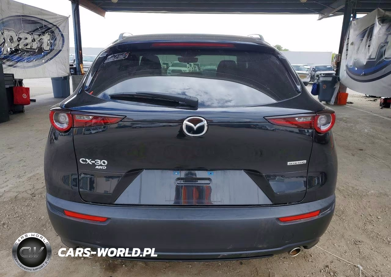 2022 Mazda Cx-30 Premium VIN:3MVDMBDL7NM443738 - 6