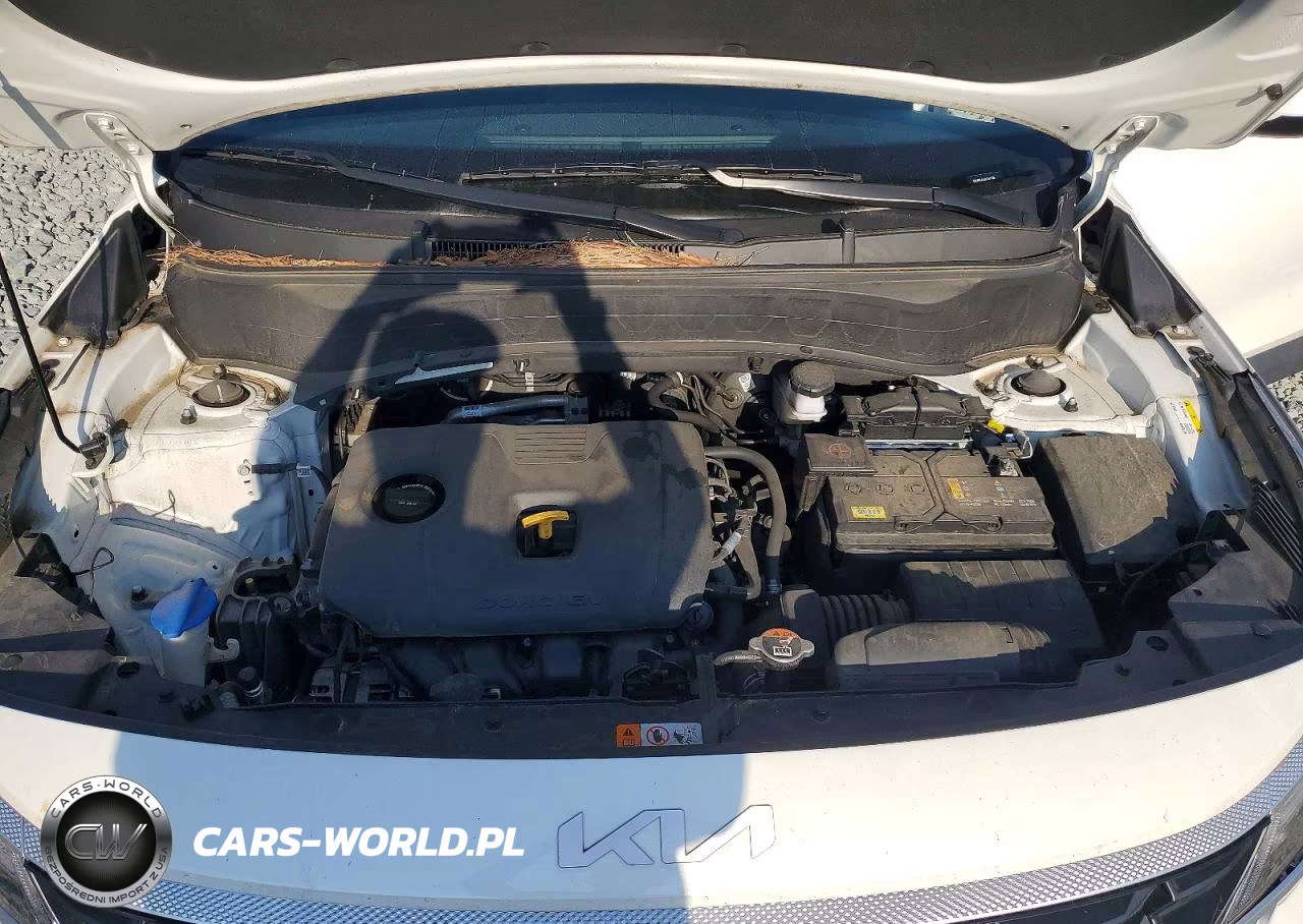 2024 Kia Seltos Lx VIN:KNDEPCAA2R7477138 - 12
