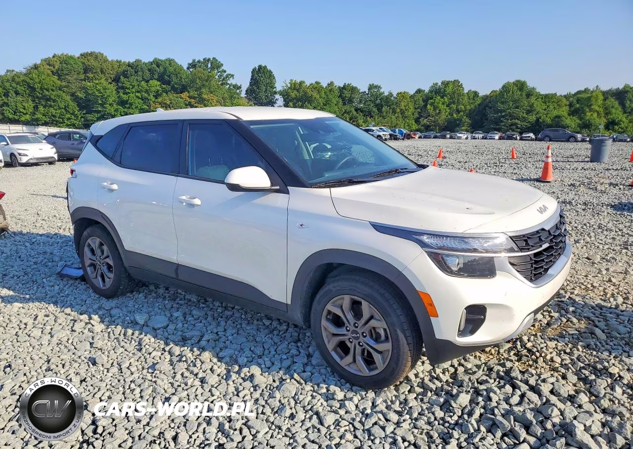 2024 Kia Seltos Lx VIN:KNDEPCAA2R7477138 - 4