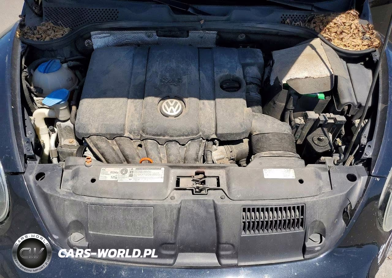 2013 Volkswagen Beetle VIN:3VWJP7AT9DM647725 - 11