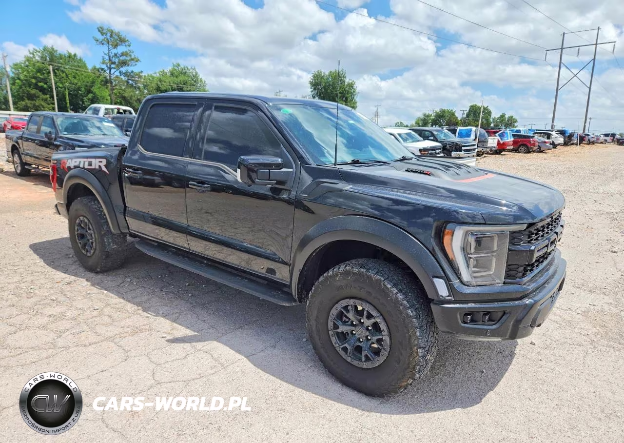 2023 Ford F150 Raptor VIN:1FTFW1RJ4PFC92687 - 4