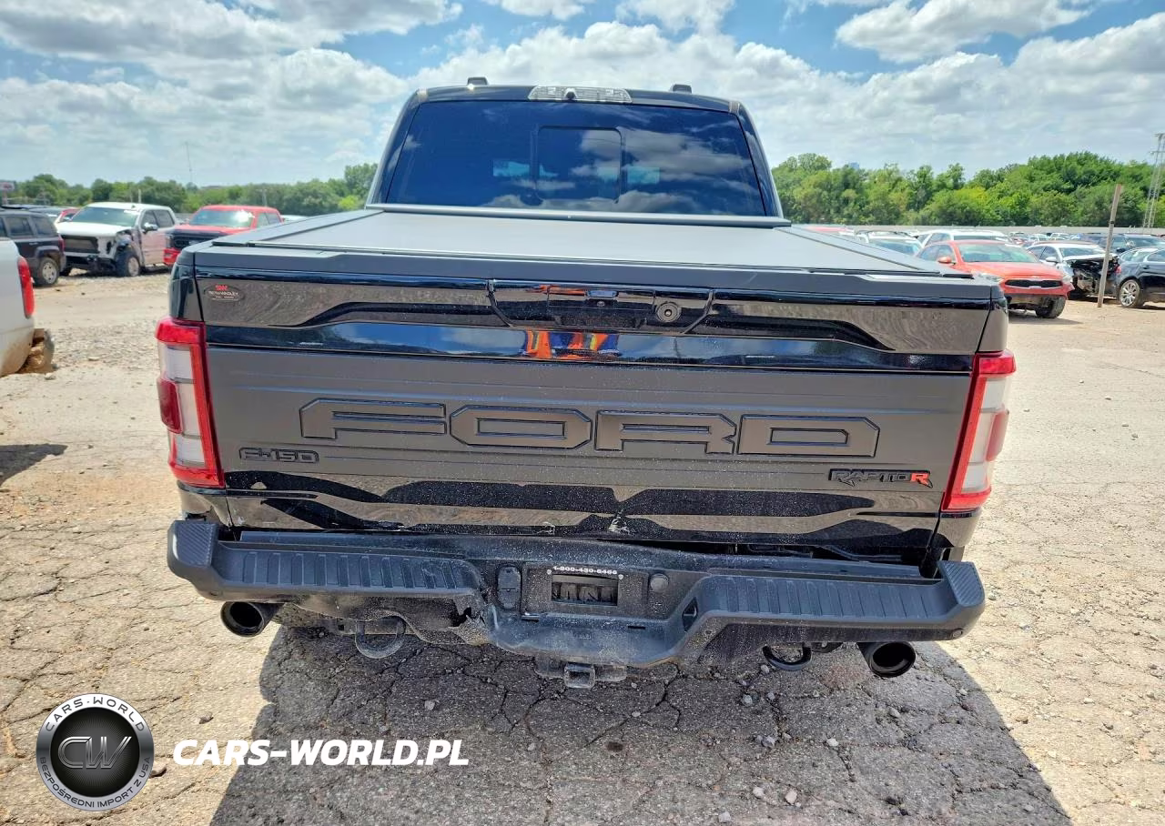2023 Ford F150 Raptor VIN:1FTFW1RJ4PFC92687 - 6