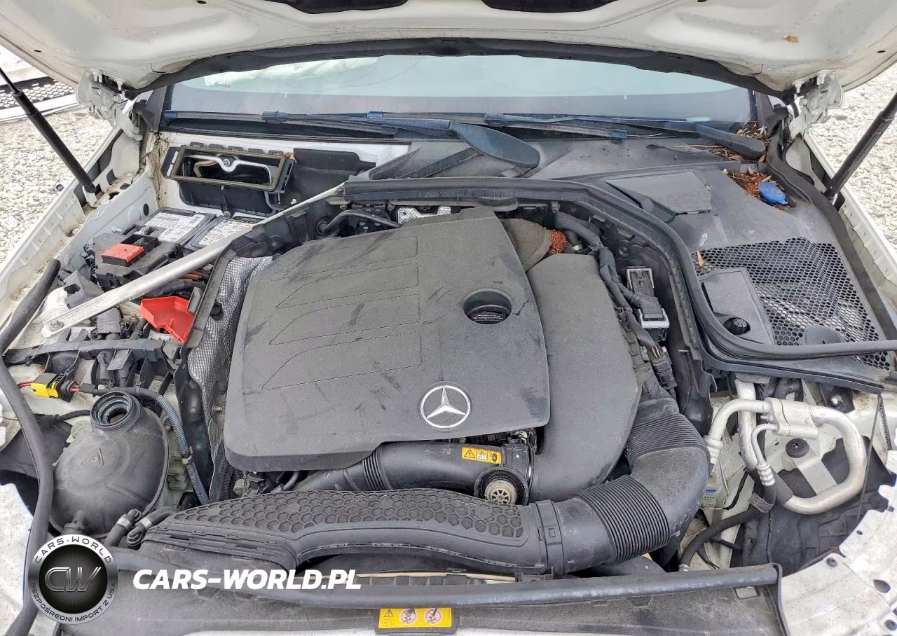 2019 Mercedes-Benz C 300 VIN:WDDWJ8DB3KF851782 - 11