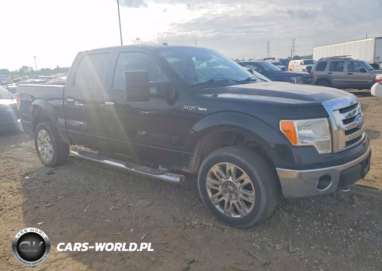2009 Ford F150 Supercrew VIN:1FTPW14V49FB06535 - 4