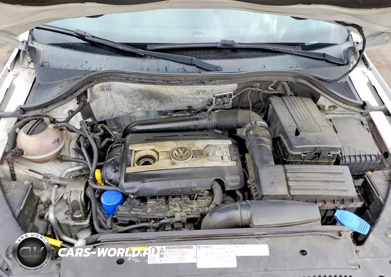 2016 Volkswagen Tiguan S VIN:WVGAV7AX1GW610972 - 12