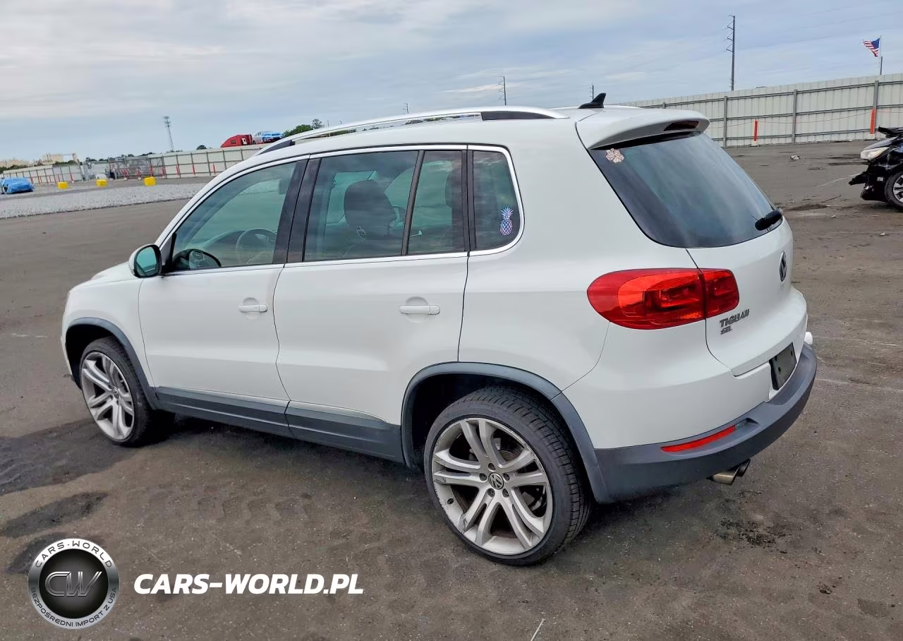 2016 Volkswagen Tiguan S VIN:WVGAV7AX1GW610972 - 2