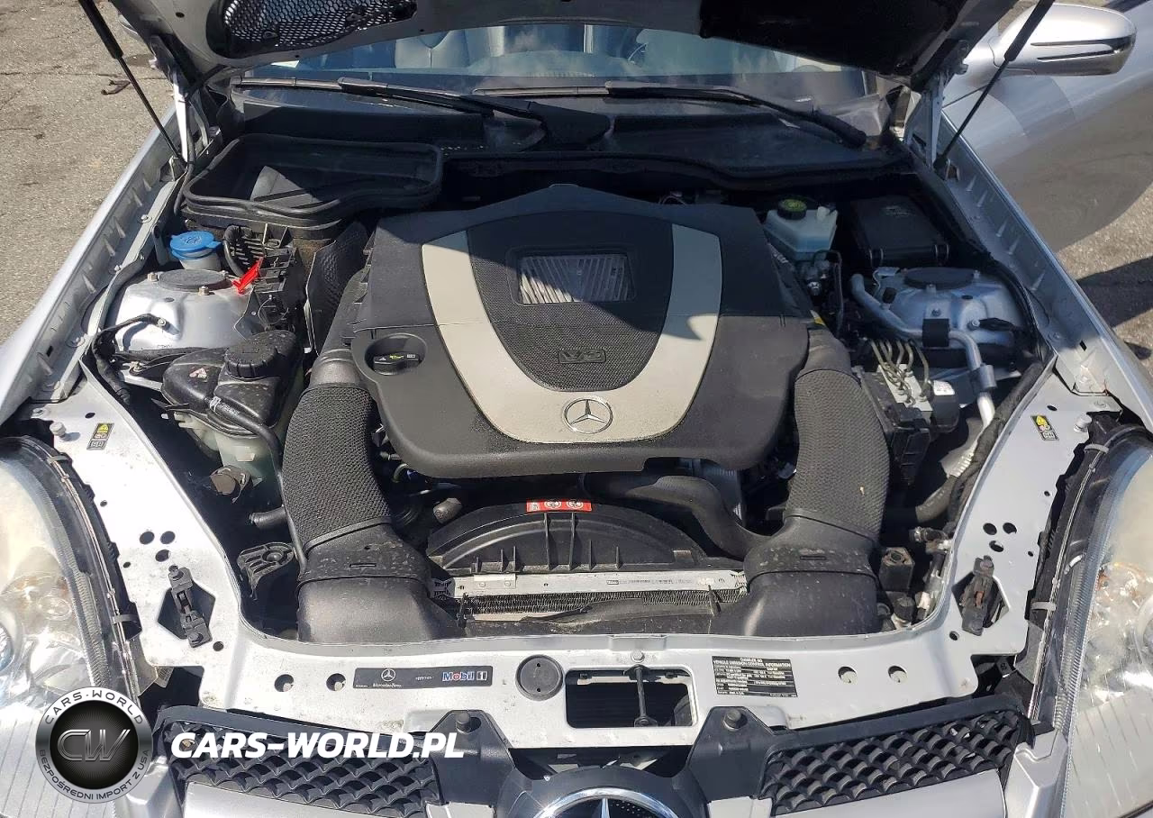 2009 Mercedes-Benz Slk 300 VIN:WDBWK54F29F194278 - 11