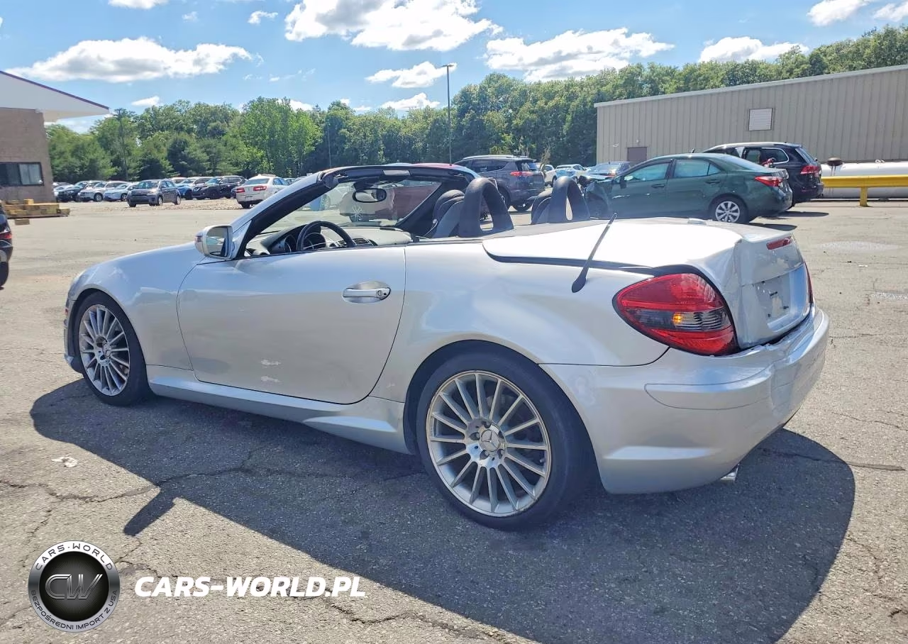 2009 Mercedes-Benz Slk 300 VIN:WDBWK54F29F194278 - 2