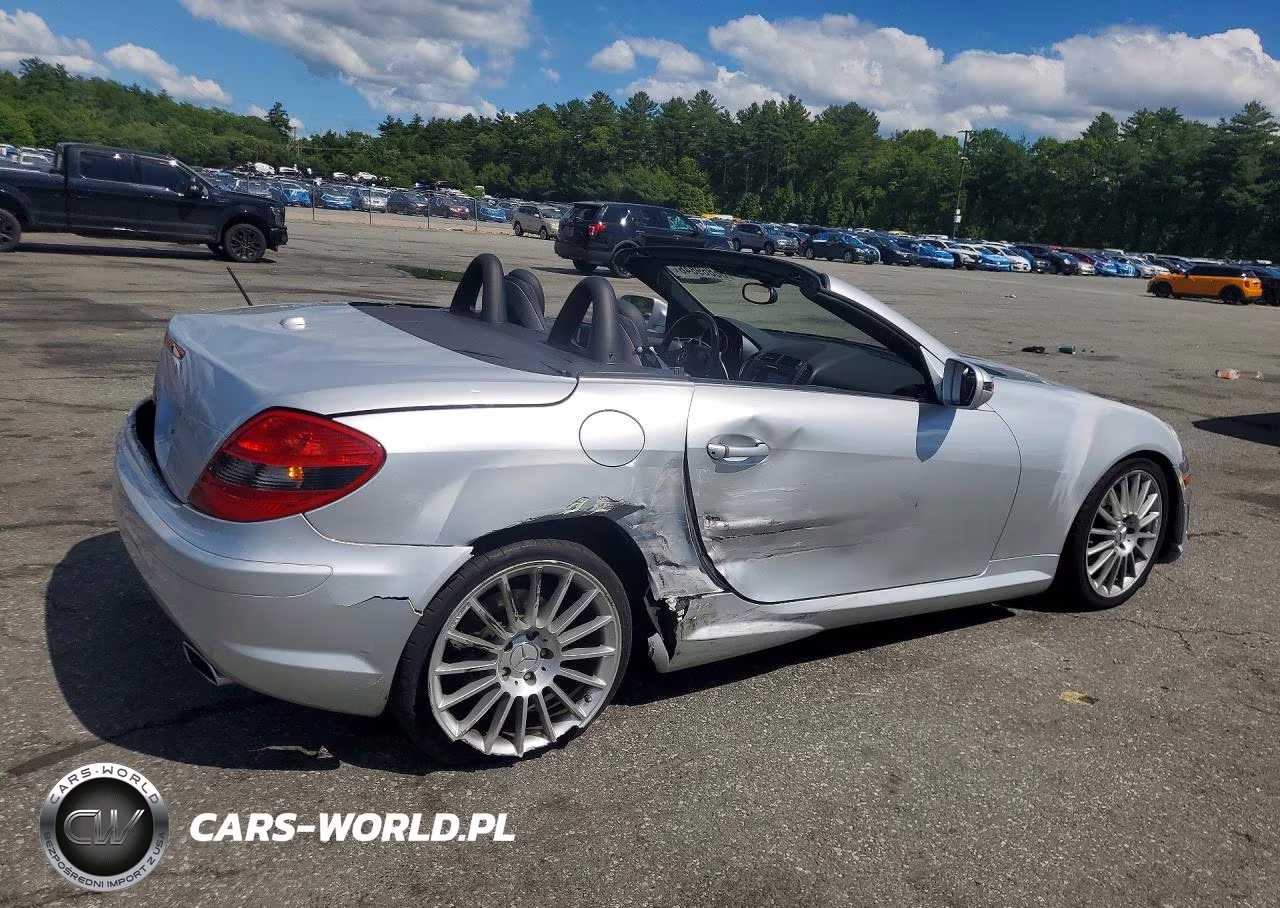 2009 Mercedes-Benz Slk 300 VIN:WDBWK54F29F194278 - 3