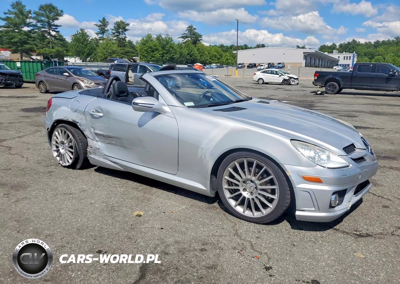 2009 Mercedes-Benz Slk 300 VIN:WDBWK54F29F194278 - 4