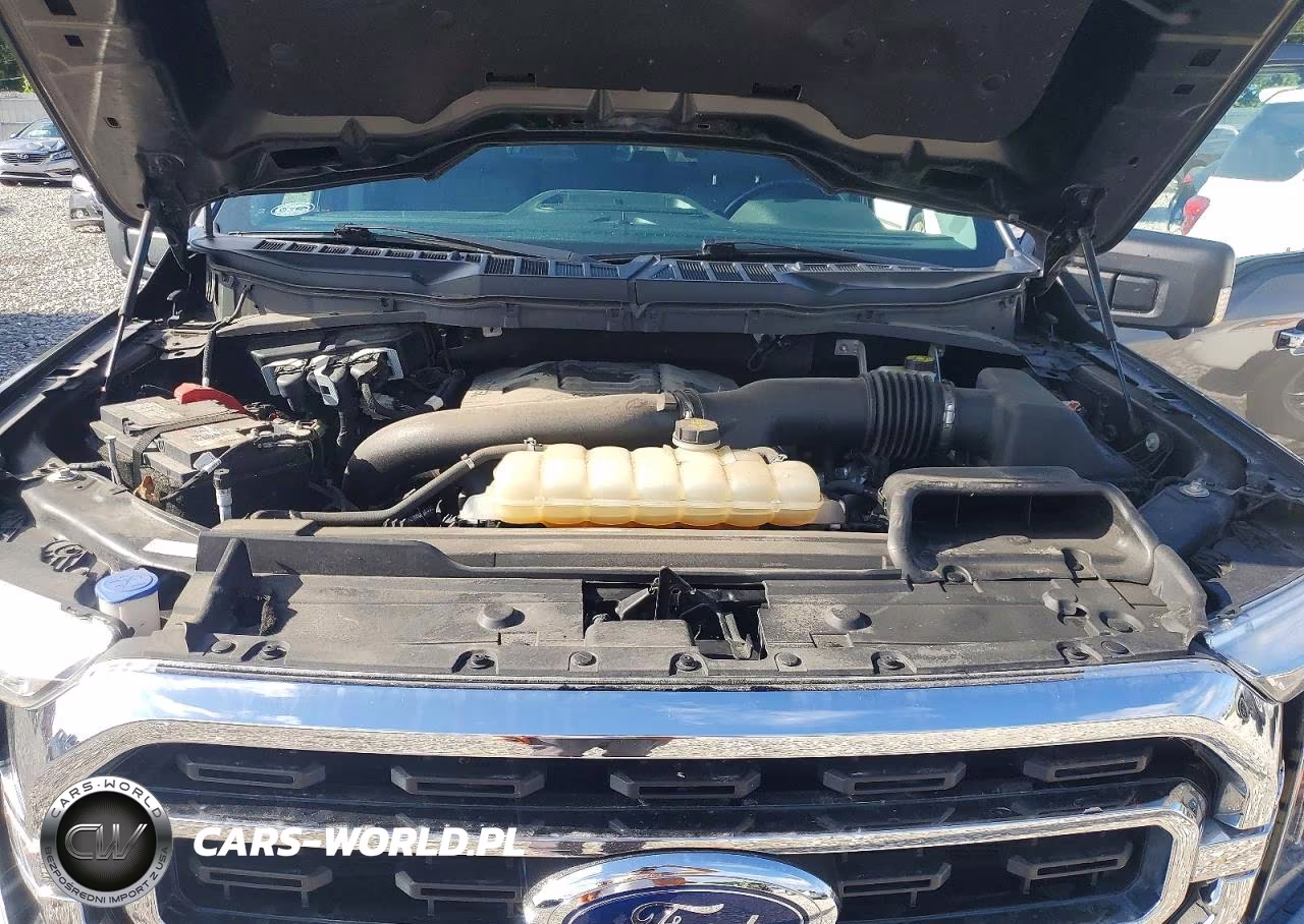 2021 Ford F150 Supercrew VIN:1FTFW1E89MKD72847 - 11