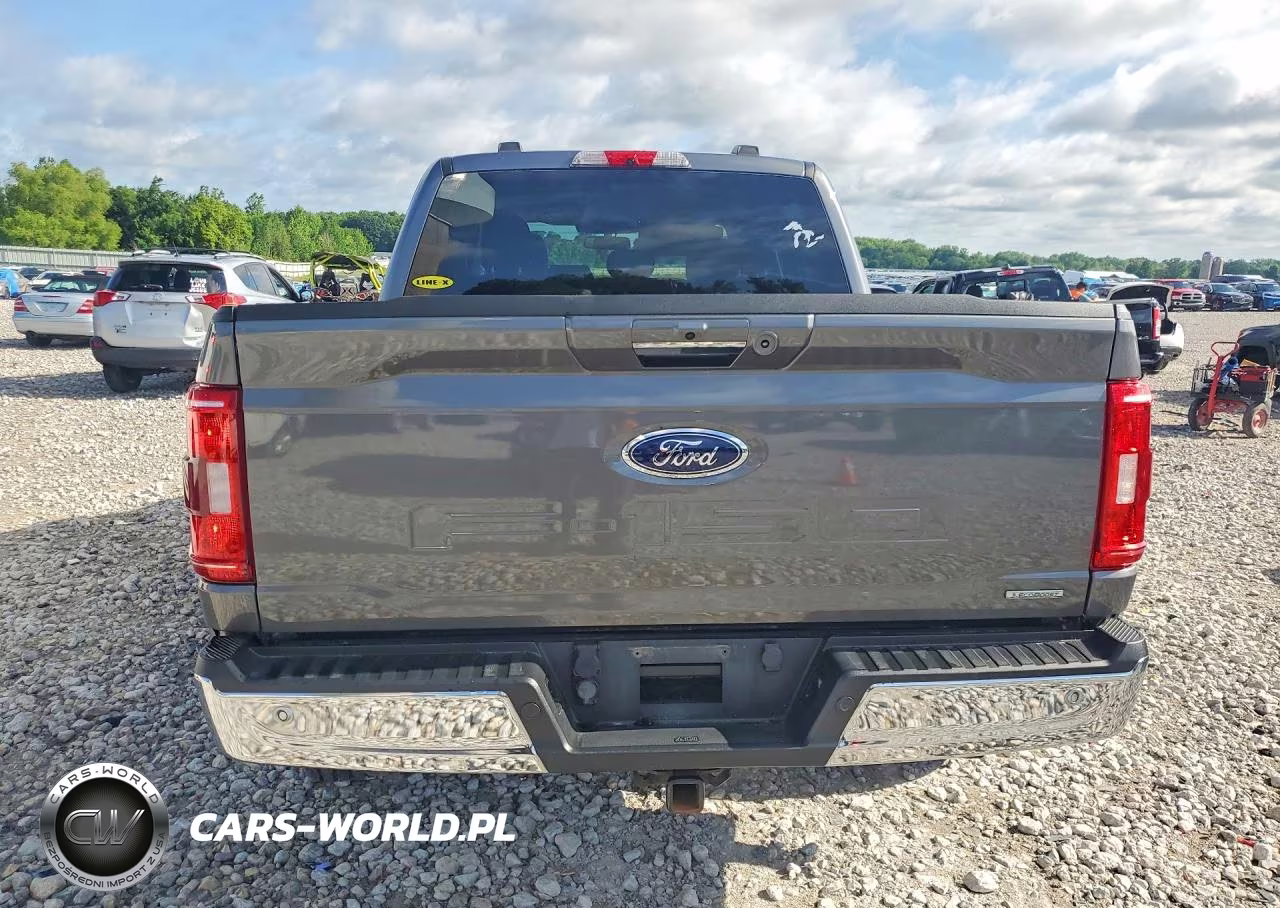 2021 Ford F150 Supercrew VIN:1FTFW1E89MKD72847 - 6