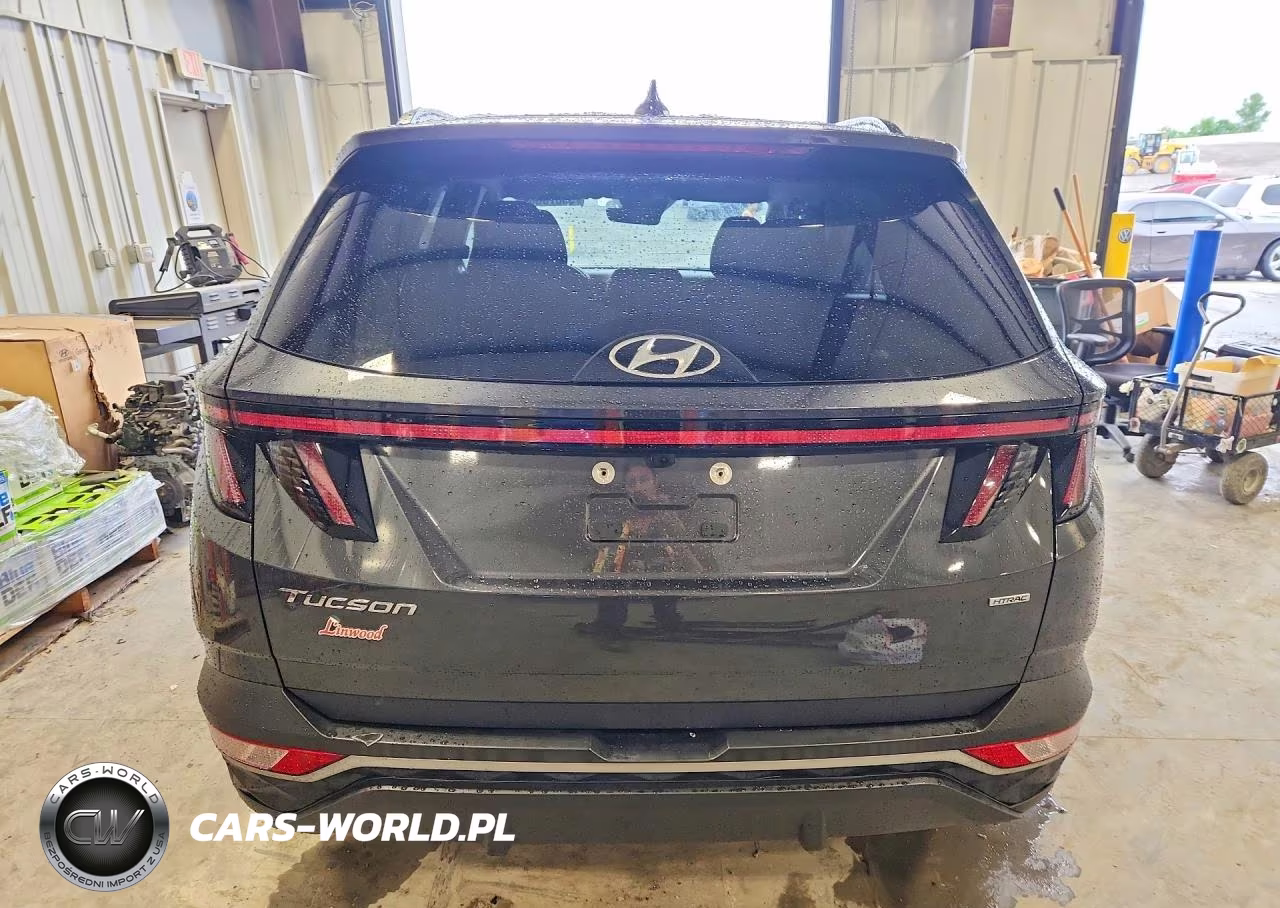 2023 Hyundai Tucson Sel VIN:5NMJBCAE8PH203755 - 6
