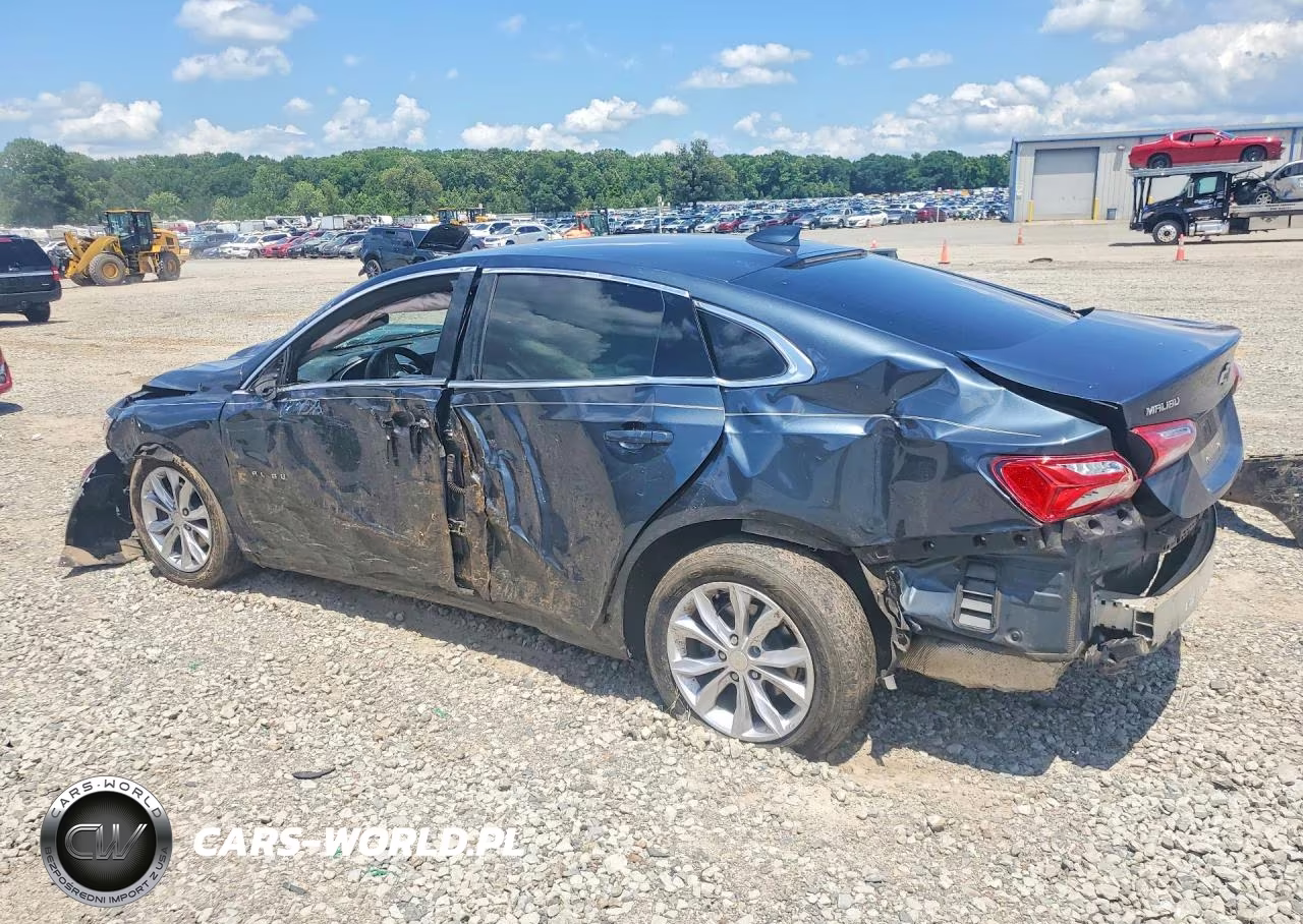 2019 Chevrolet Malibu VIN:1G1ZD5ST3KF180681 - 2