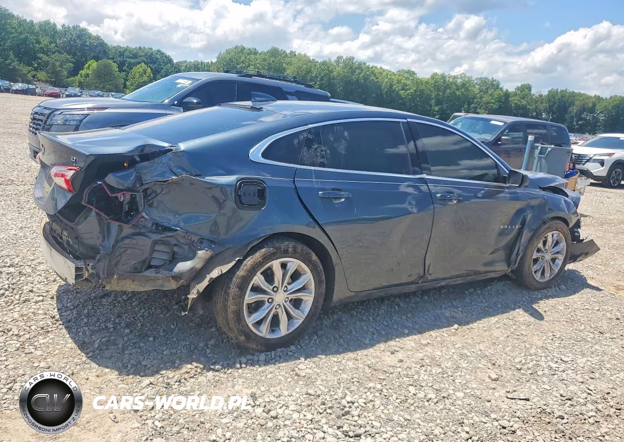2019 Chevrolet Malibu VIN:1G1ZD5ST3KF180681 - 3