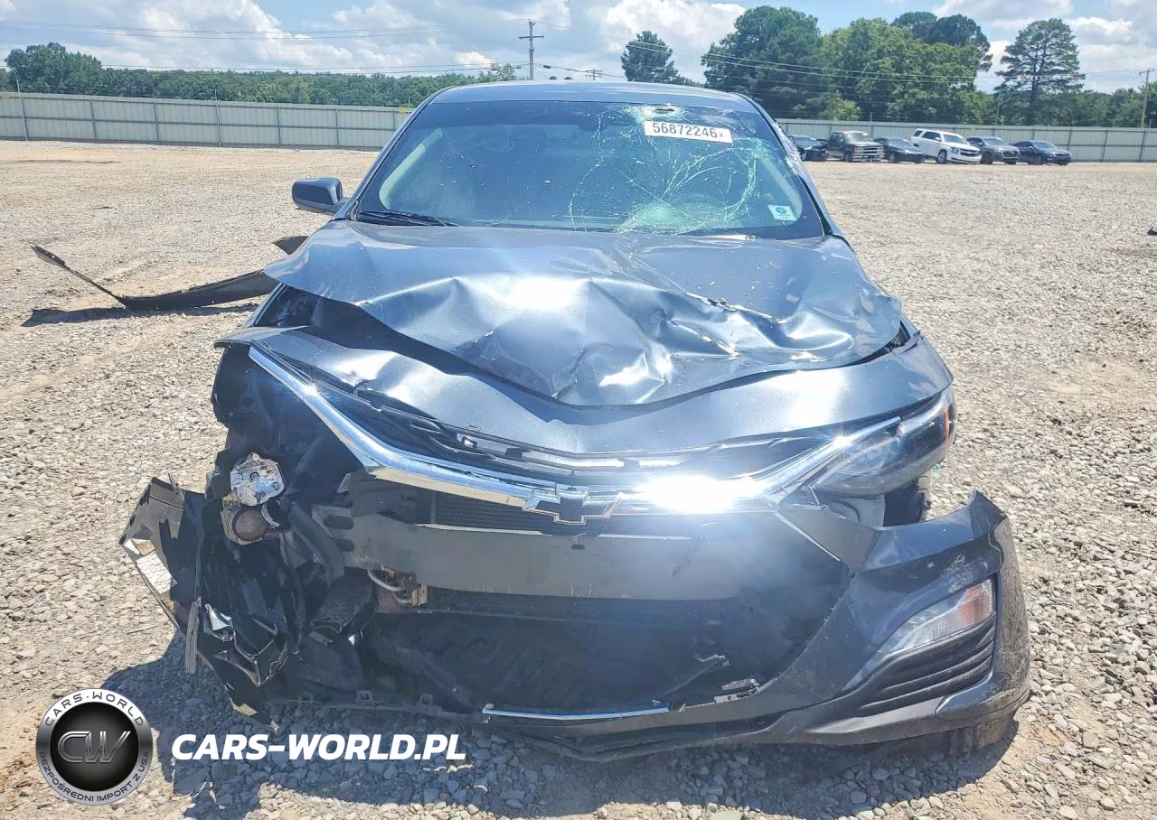 2019 Chevrolet Malibu VIN:1G1ZD5ST3KF180681 - 5