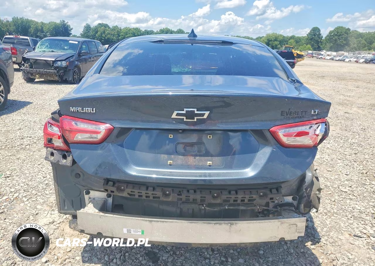 2019 Chevrolet Malibu VIN:1G1ZD5ST3KF180681 - 6