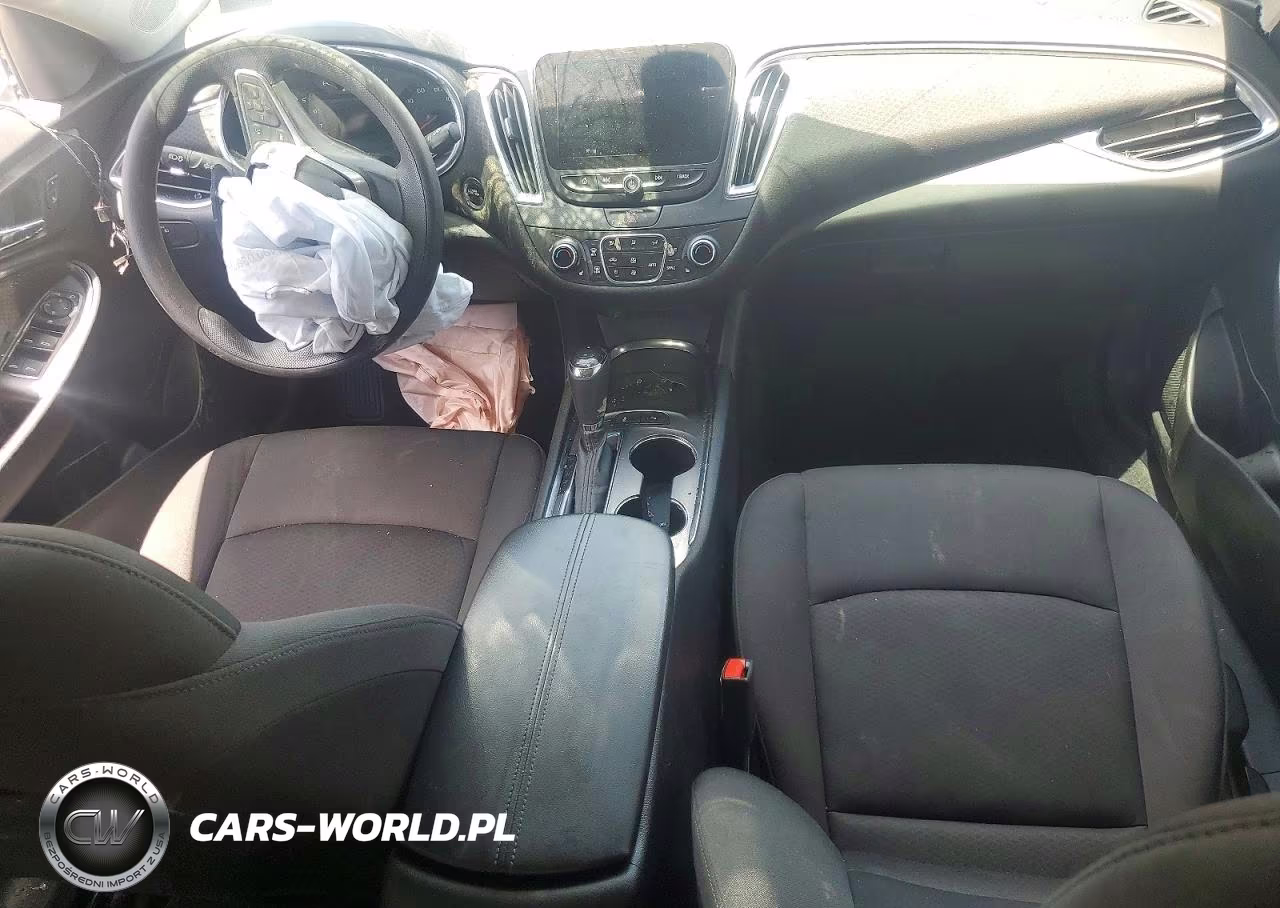 2019 Chevrolet Malibu VIN:1G1ZD5ST3KF180681 - 8