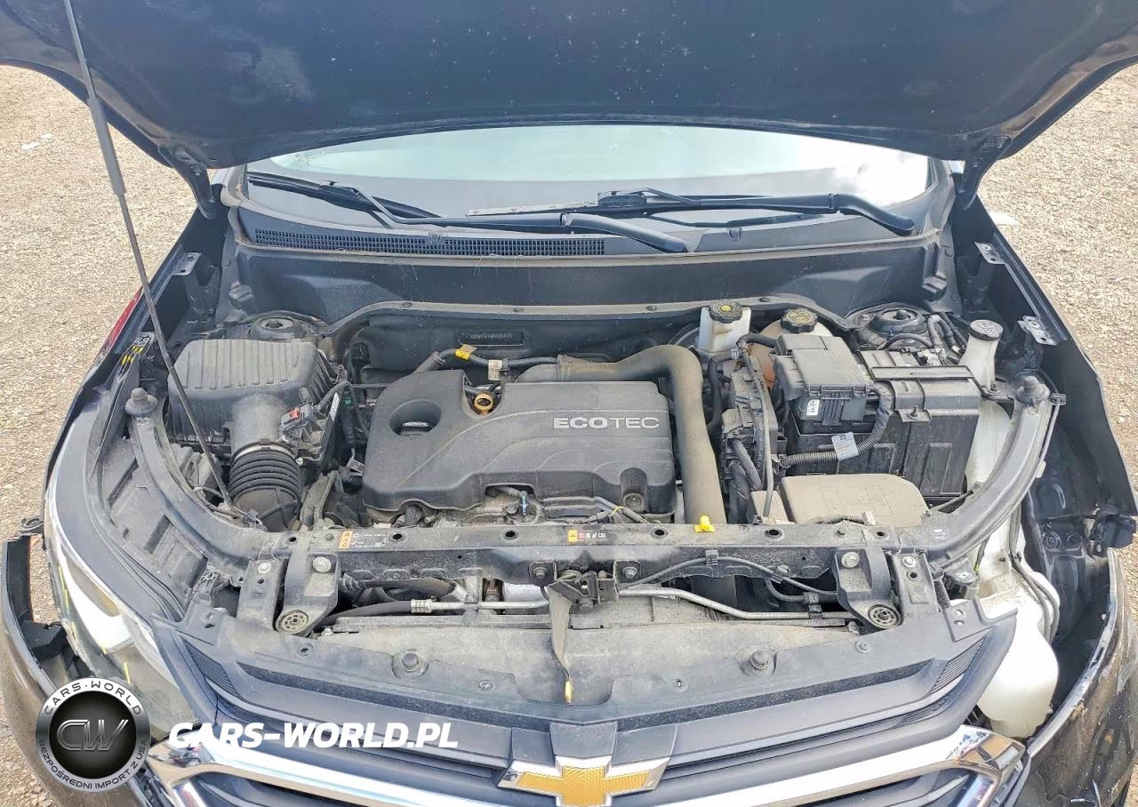 2019 Chevrolet Equinox Lt VIN:2GNAXTEV8K6255082 - 12