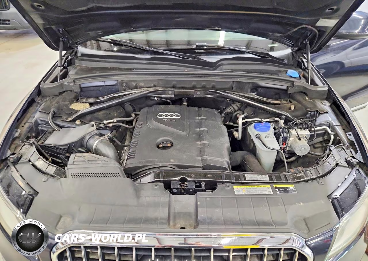 2013 Audi Q5 Premium Plus VIN:WA1LFAFP5DA085238 - 12