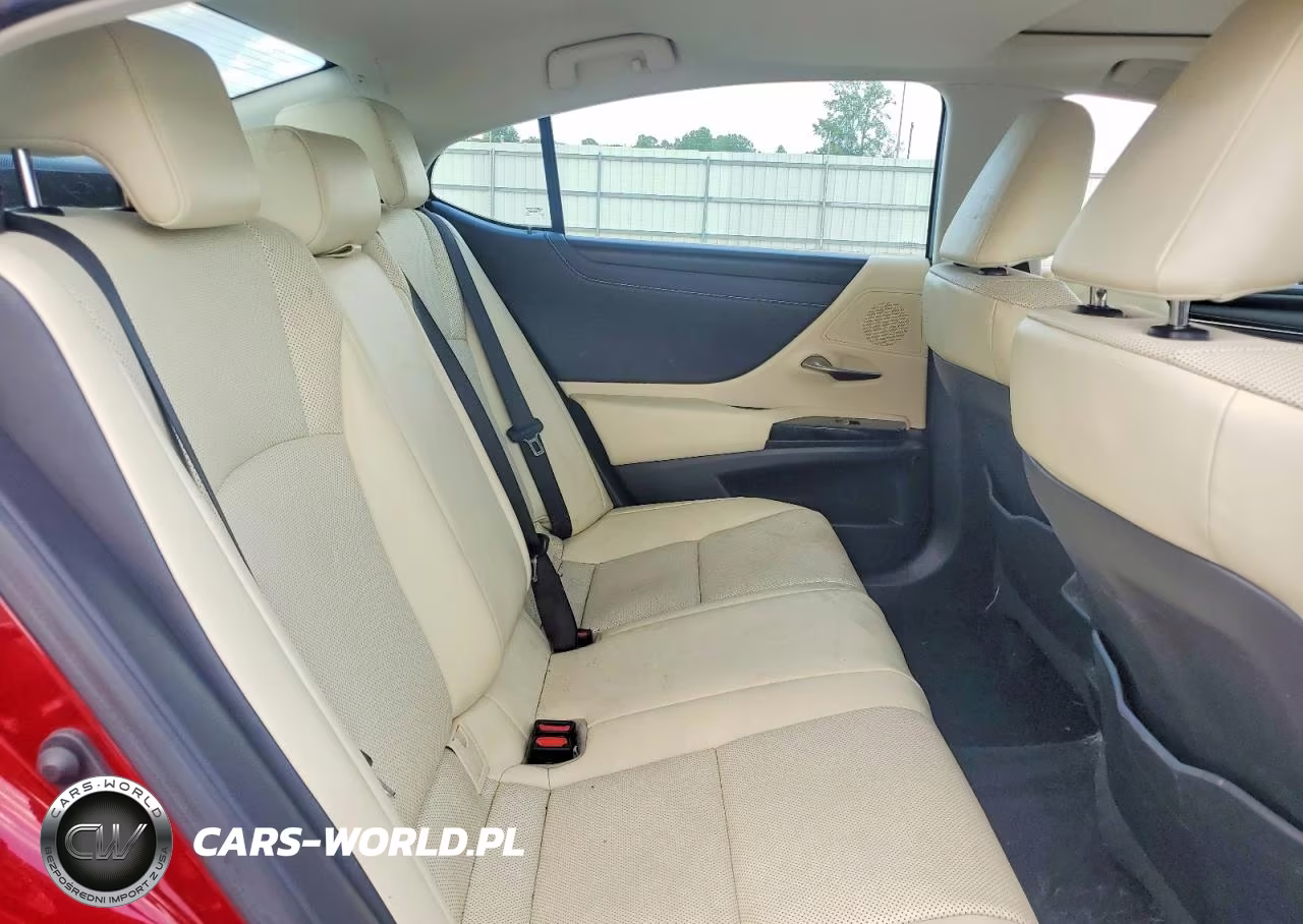 2022 Lexus Es 300H Base VIN:58ADA1C14NU019339 - 10