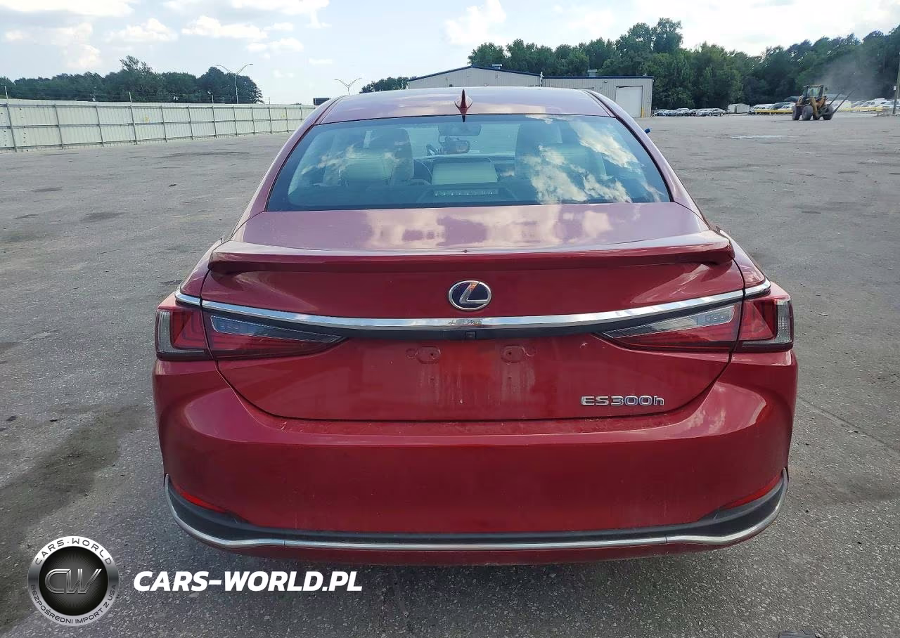 2022 Lexus Es 300H Base VIN:58ADA1C14NU019339 - 6