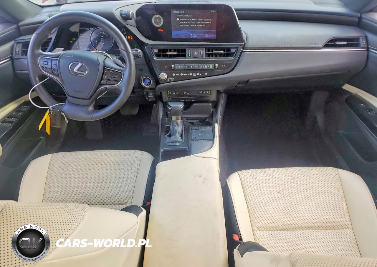 2022 Lexus Es 300H Base VIN:58ADA1C14NU019339 - 8