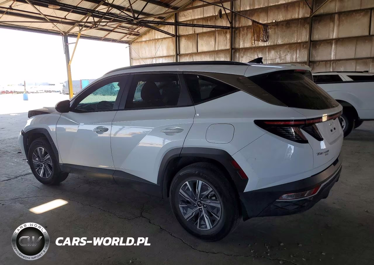 2022 Hyundai Tucson Blue VIN:KM8JBCA13NU057411 - 2