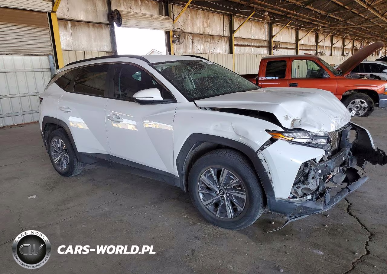 2022 Hyundai Tucson Blue VIN:KM8JBCA13NU057411 - 4