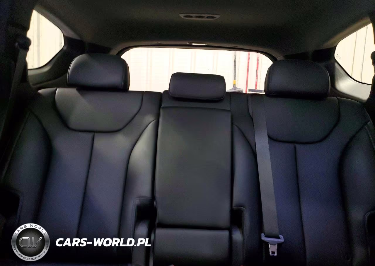 2023 Hyundai Santa Fe Sel Premium VIN:5NMS3DA19PH019591 - 10