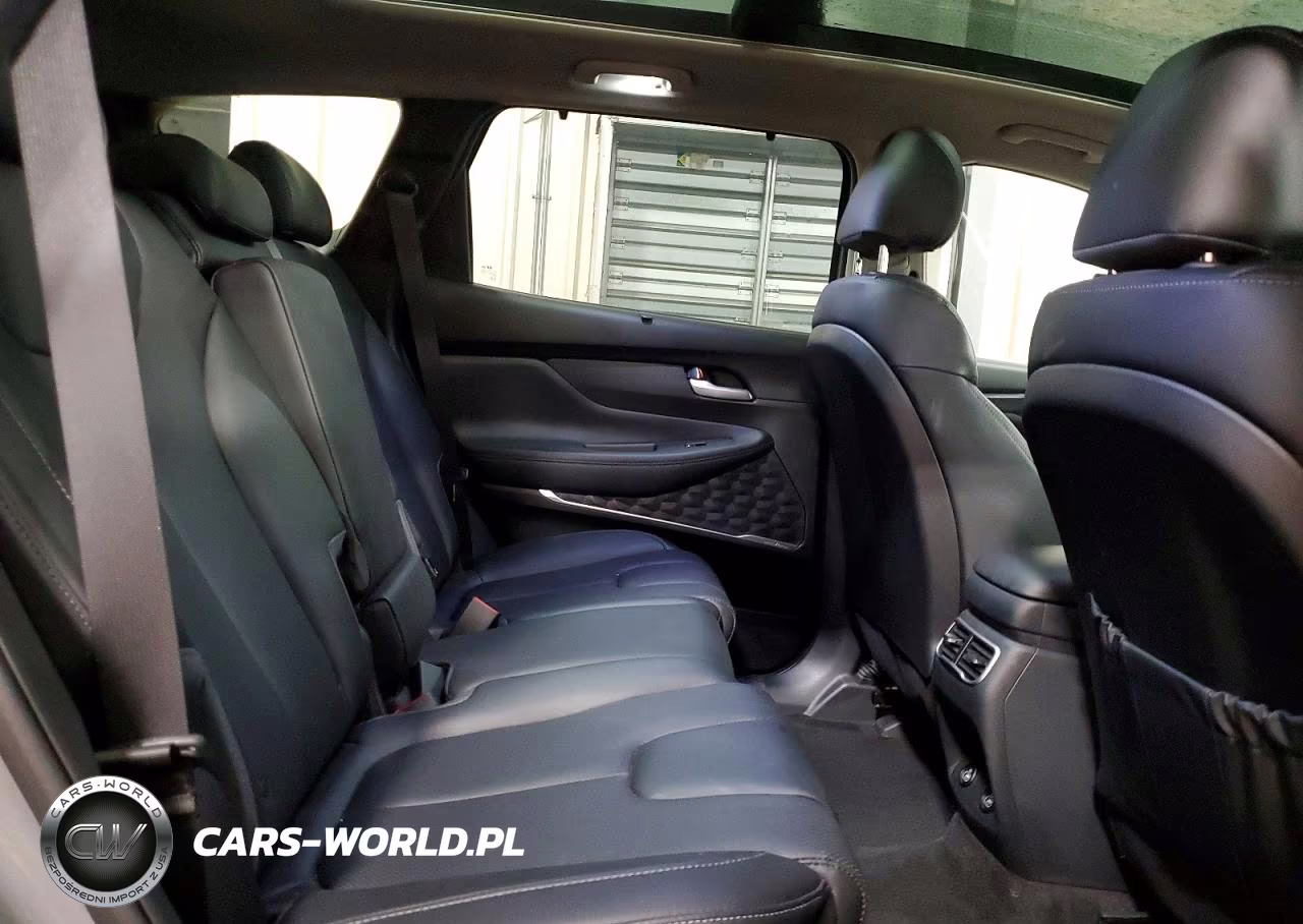 2023 Hyundai Santa Fe Sel Premium VIN:5NMS3DA19PH019591 - 11