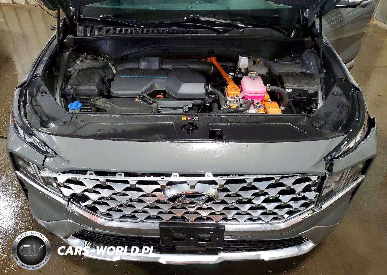 2023 Hyundai Santa Fe Sel Premium VIN:5NMS3DA19PH019591 - 12