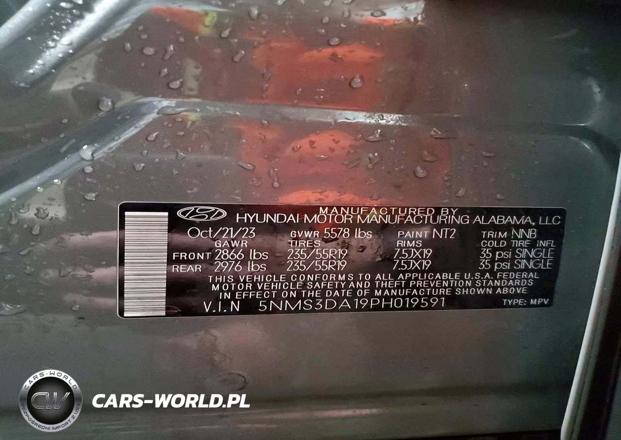 2023 Hyundai Santa Fe Sel Premium VIN:5NMS3DA19PH019591 - 13