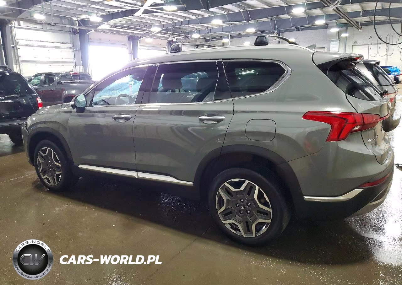 2023 Hyundai Santa Fe Sel Premium VIN:5NMS3DA19PH019591 - 2