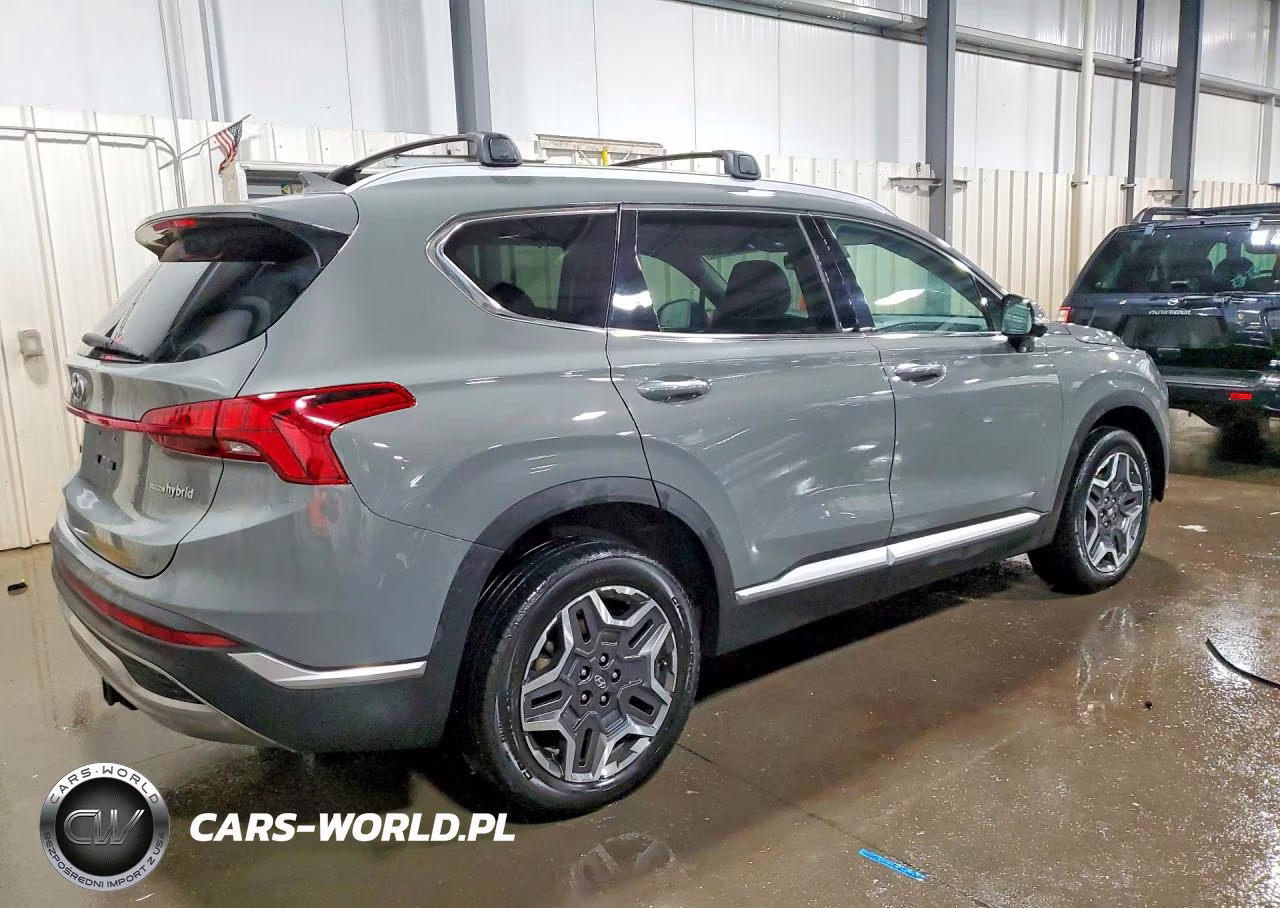 2023 Hyundai Santa Fe Sel Premium VIN:5NMS3DA19PH019591 - 3