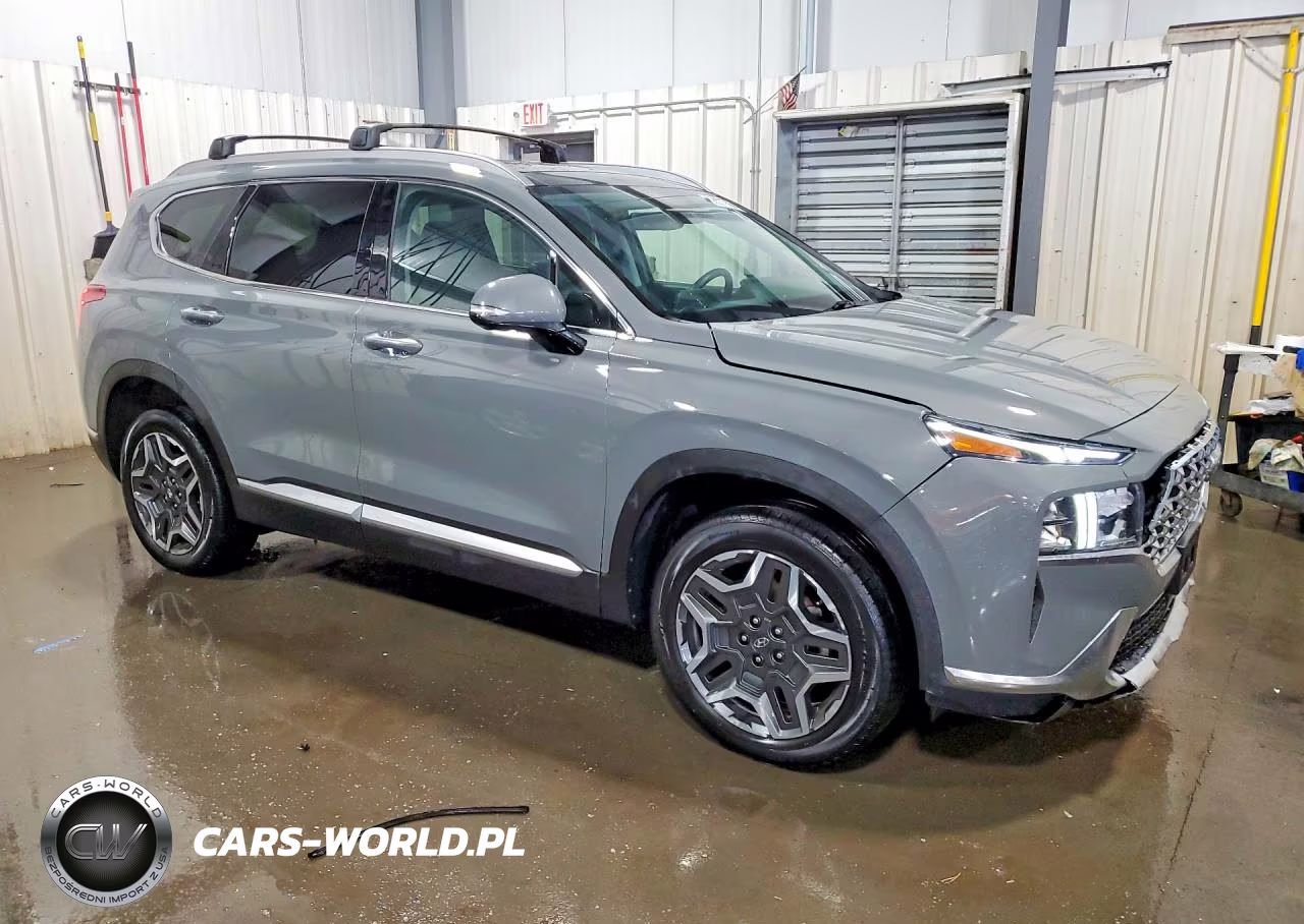 2023 Hyundai Santa Fe Sel Premium VIN:5NMS3DA19PH019591 - 4