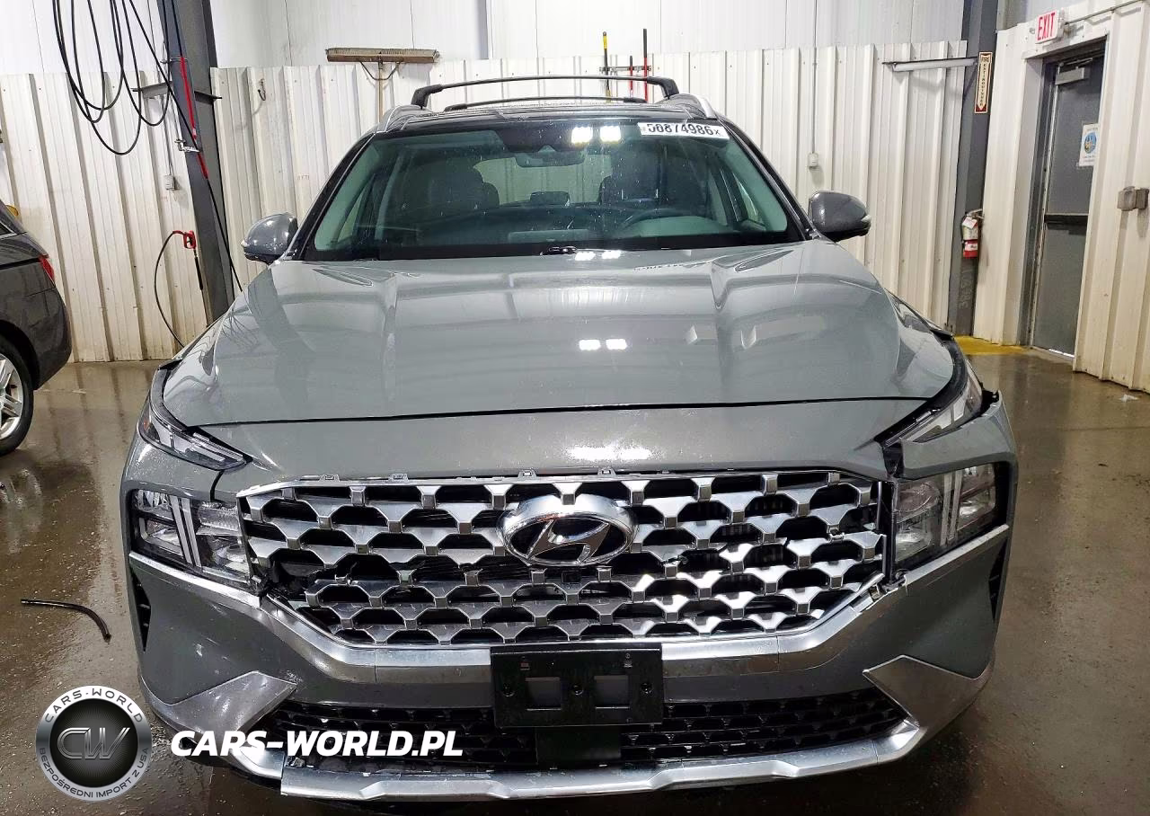 2023 Hyundai Santa Fe Sel Premium VIN:5NMS3DA19PH019591 - 5