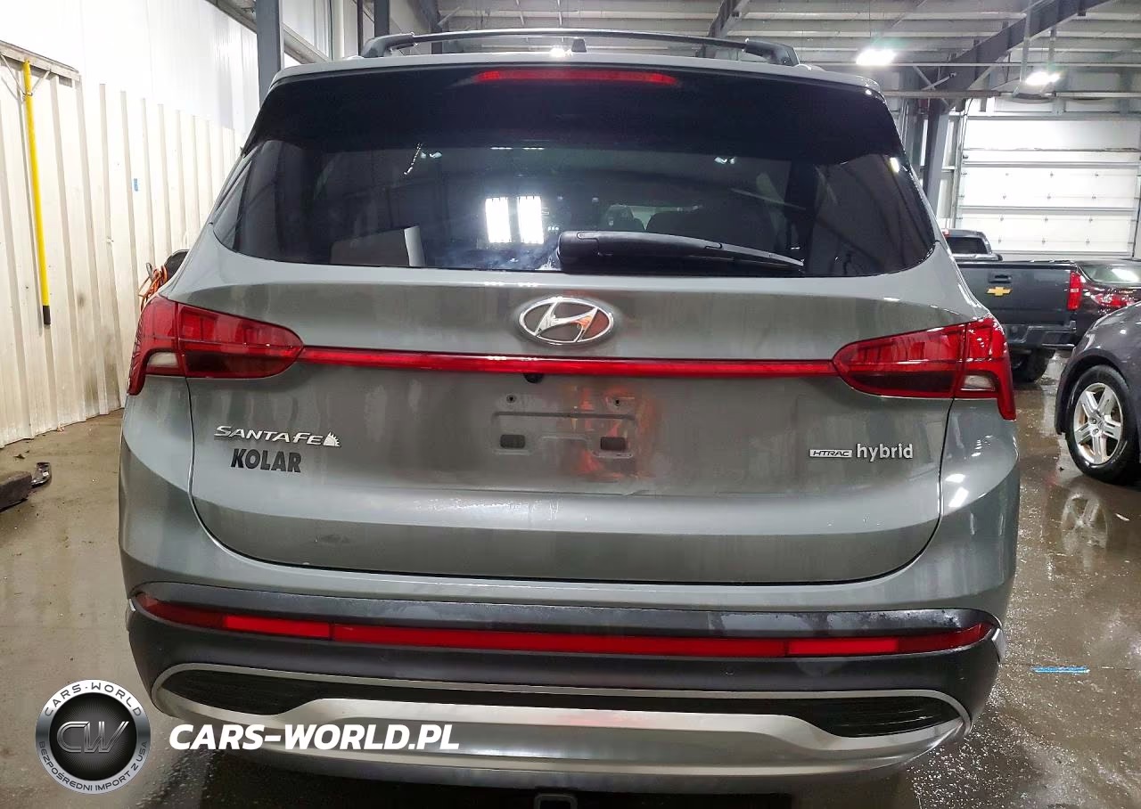 2023 Hyundai Santa Fe Sel Premium VIN:5NMS3DA19PH019591 - 6