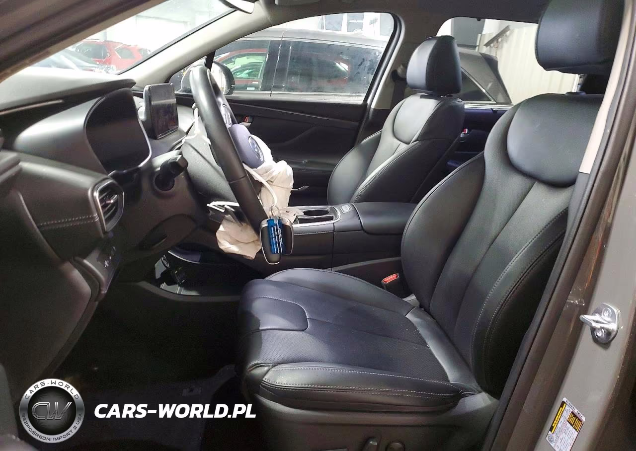 2023 Hyundai Santa Fe Sel Premium VIN:5NMS3DA19PH019591 - 7