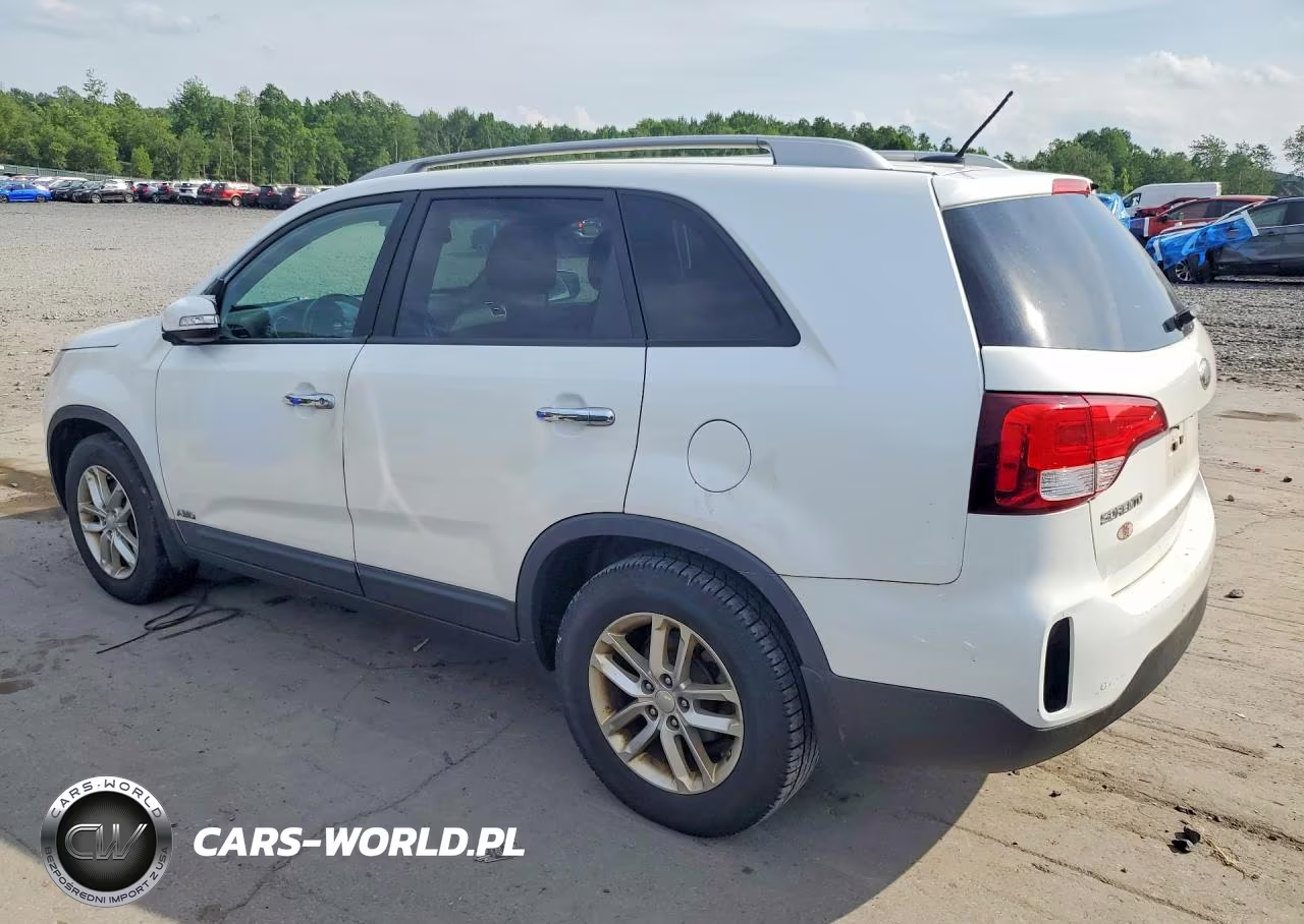 2014 Kia Sorento Lx VIN:5XYKTCA60EG440273 - 2