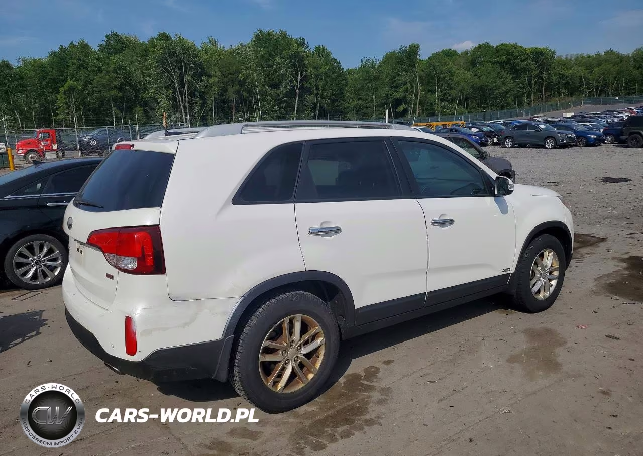 2014 Kia Sorento Lx VIN:5XYKTCA60EG440273 - 3