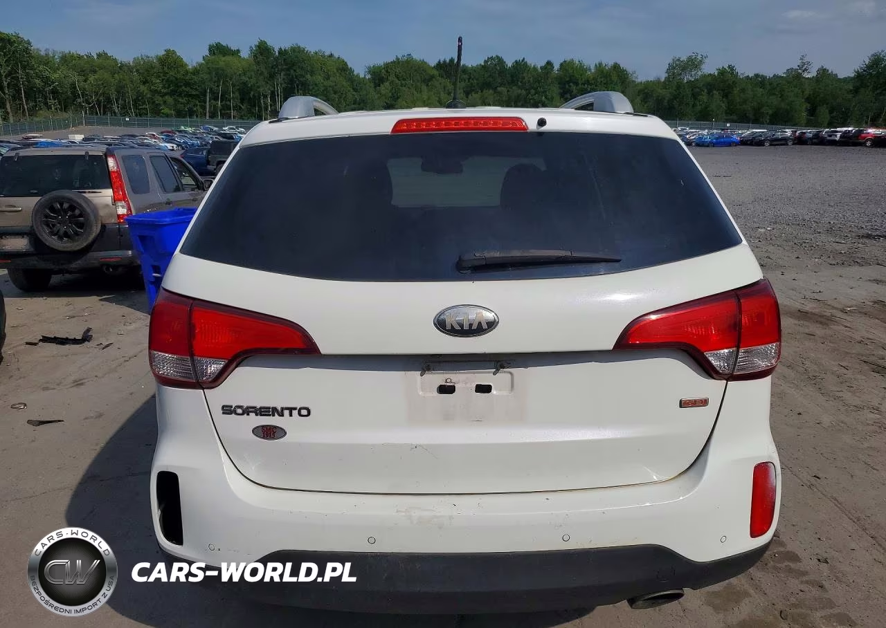 2014 Kia Sorento Lx VIN:5XYKTCA60EG440273 - 6