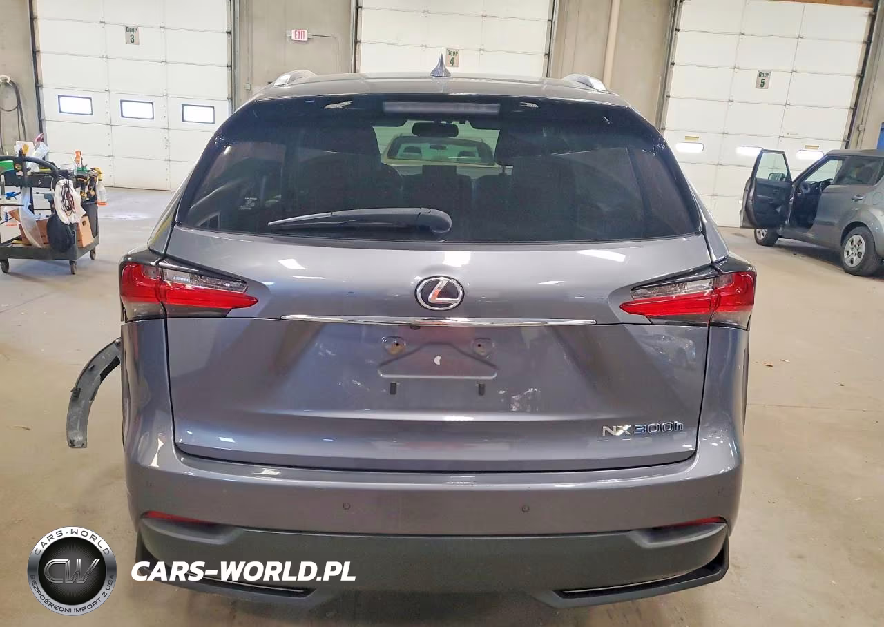 2015 Lexus Nx 300H VIN:JTJBJRBZ1F2027630 - 6