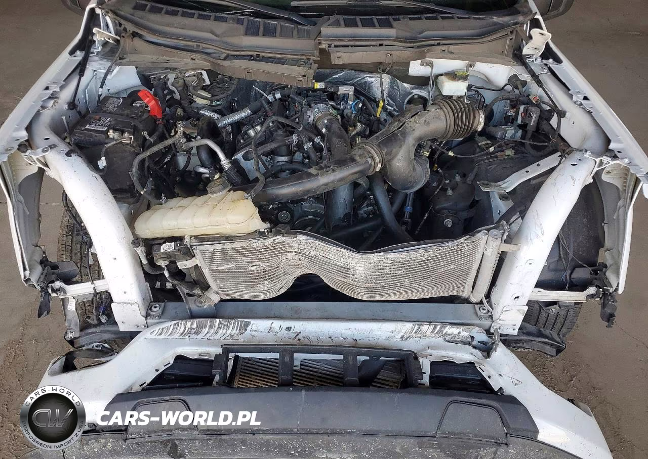 2023 Ford F150 Supercrew VIN:1FTEW1CP3PKD63703 - 11