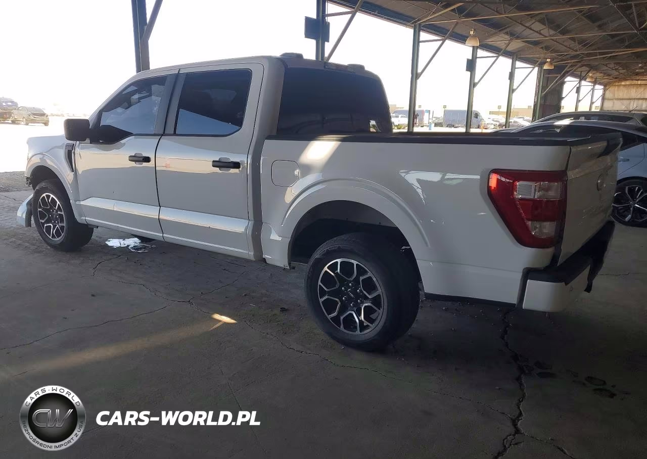 2023 Ford F150 Supercrew VIN:1FTEW1CP3PKD63703 - 2